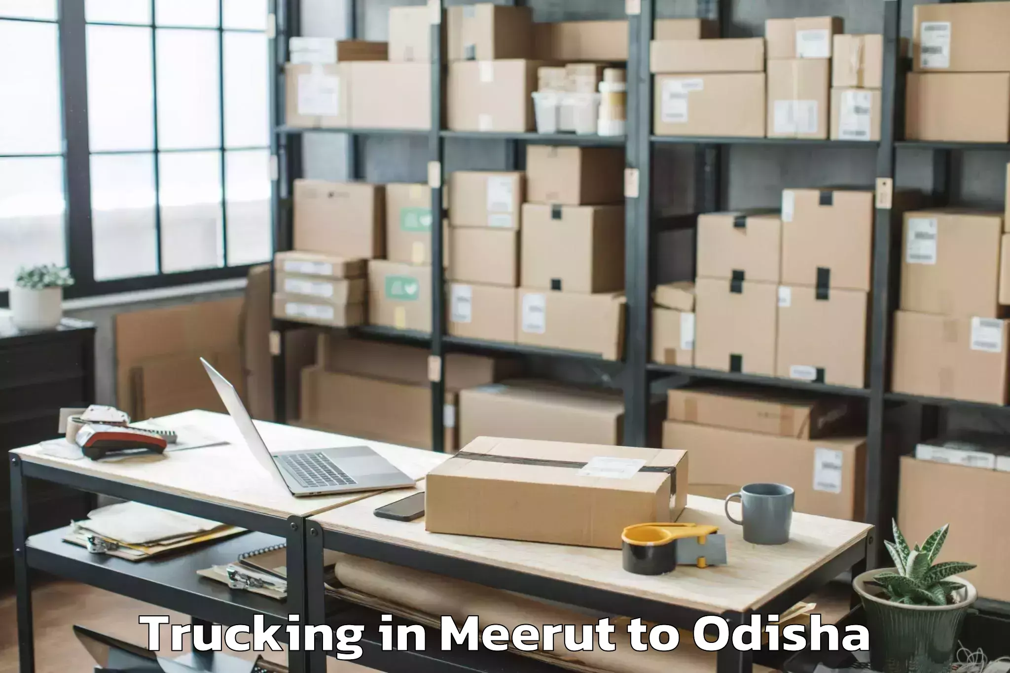 Easy Meerut to Lathikata Trucking Booking